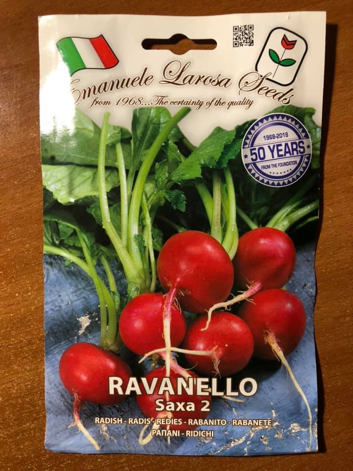 RAVANELLO SAXA 2