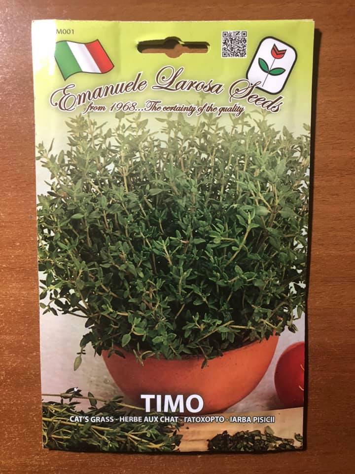 vendita online semi TIMO