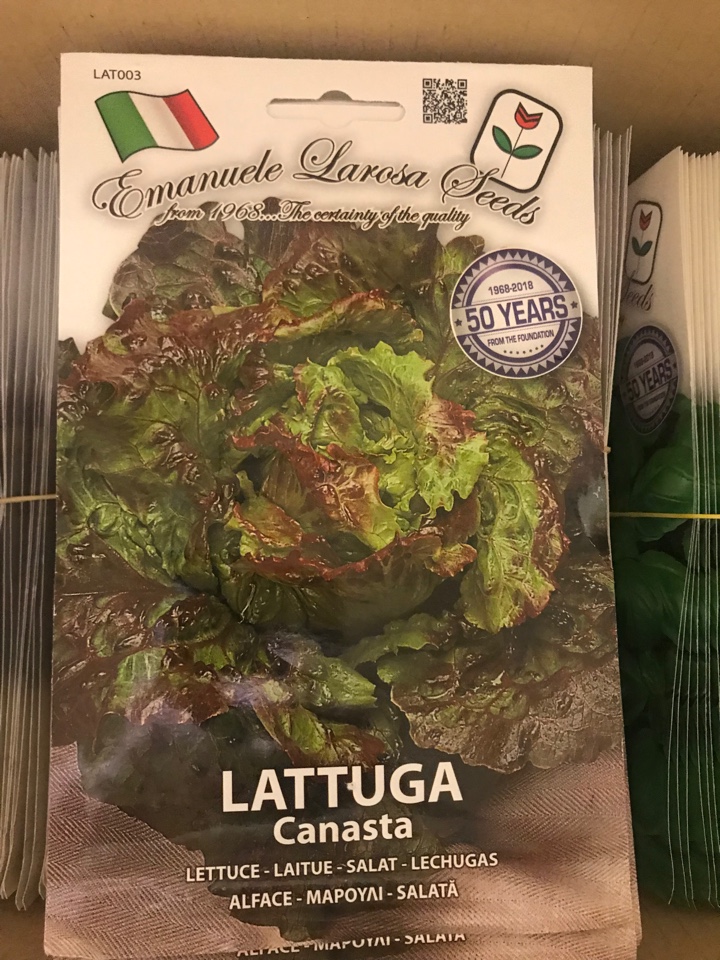LATTUGA CANASTA