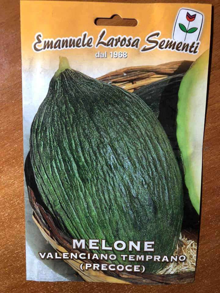 vendita online semi MELONE VALENCIANO TEMPRANO PRECOCE