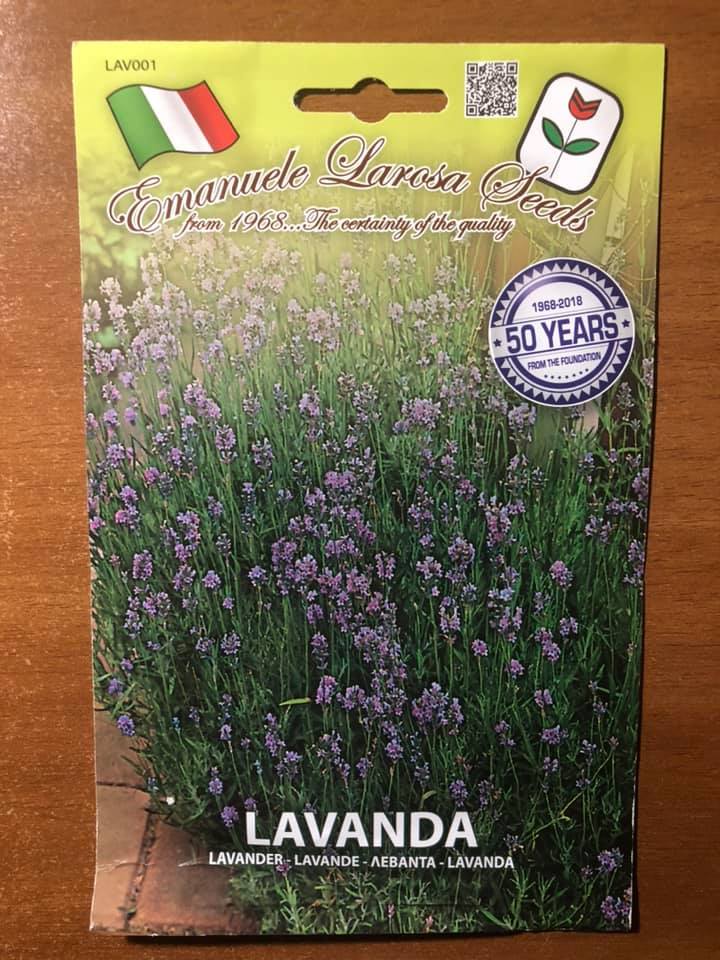 vendita online semi LAVANDA