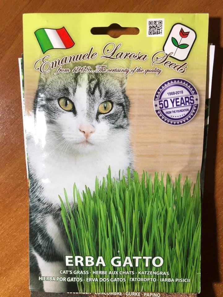 ERBA GATTO