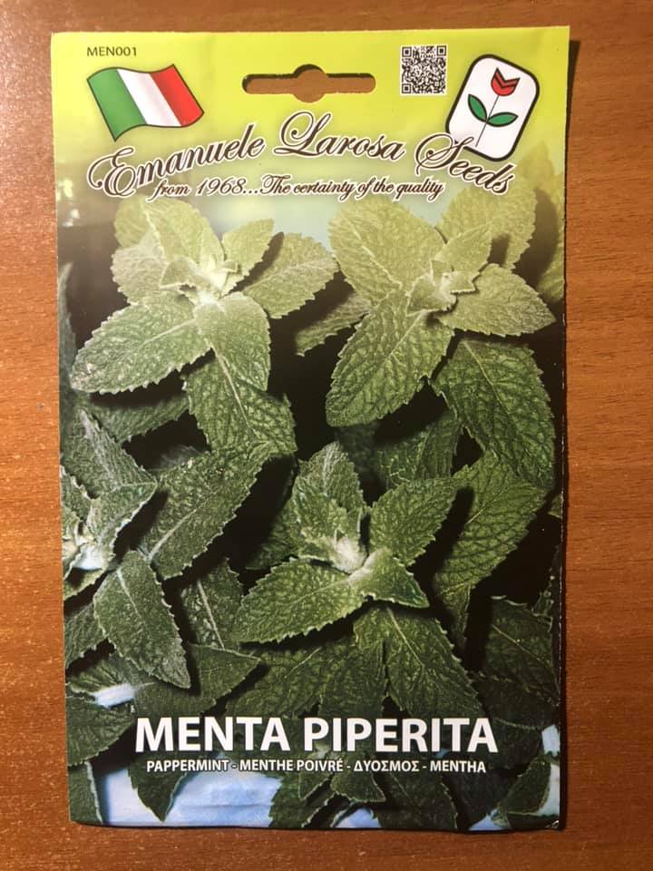 MENTA PIPERITA