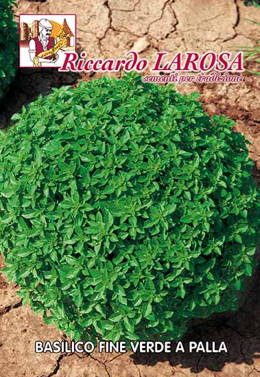 vendita online semi BASILICO FINE VERDE A PALLA