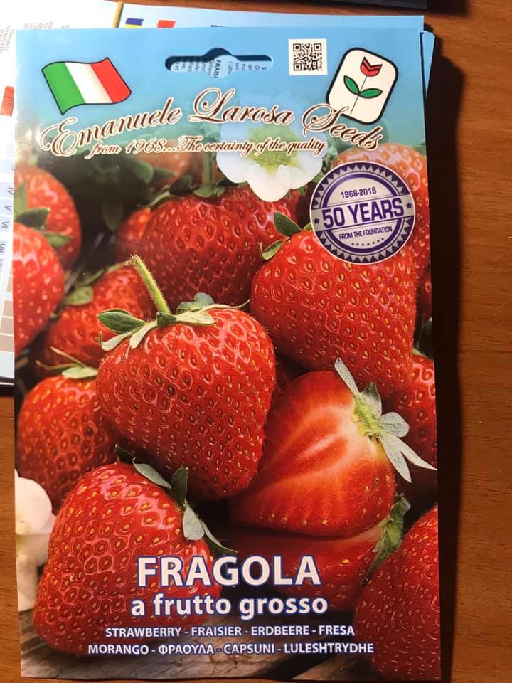 vendita online semi FRAGOLA A FRUTTO GROSSO