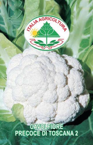 vendita online semi CAVOLFIORE PRECOCE DI TOSCANA 2