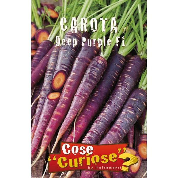 vendita online semi CAROTA DEEP PURPLE F1
