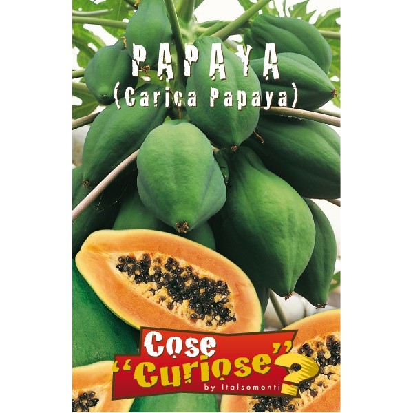 PAPAYA